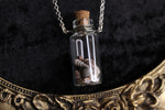 Large Silver Chain Shell Bottle Necklace