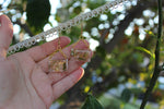 Botanical Teeny Ouija Board Earrings