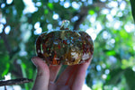 Botanical Pumpkin