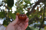 Tiny Glitter Pumpkin