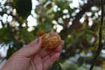 Tiny Gold Leaf Pumpkin