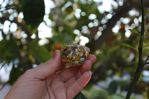 Tiny Botanical Pumpkin