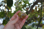 Tiny Botanical Pumpkin